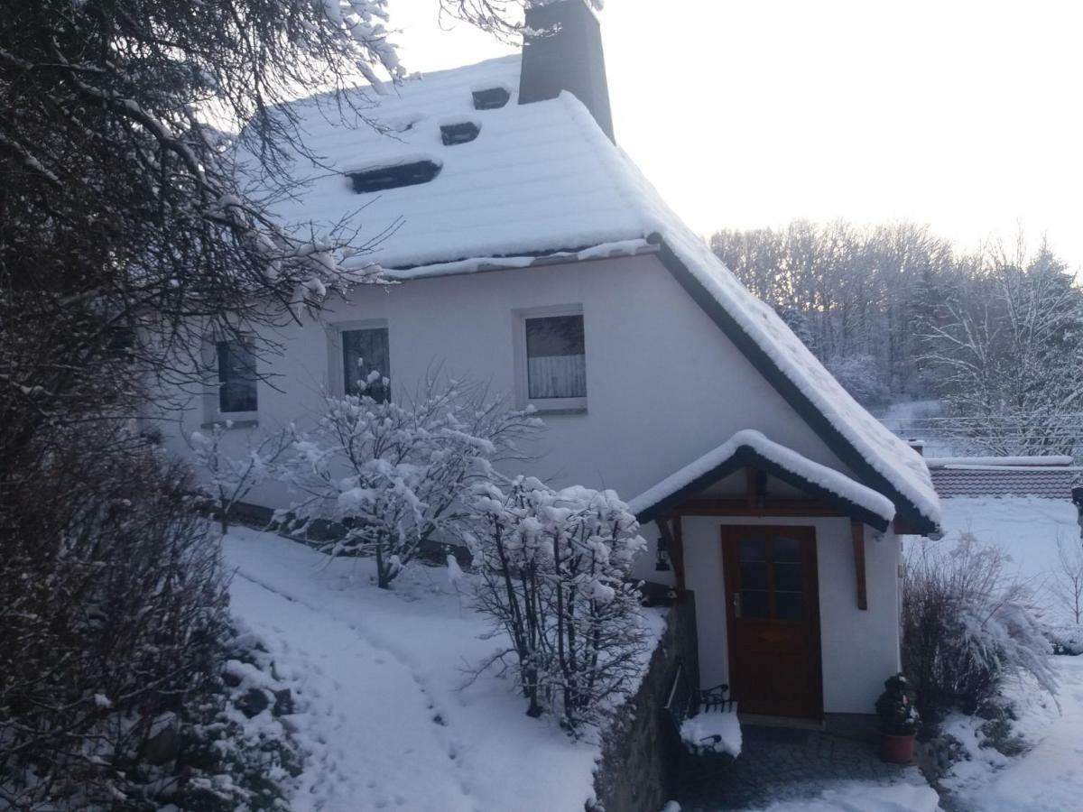 Villa Kirchberghaus mit Sauna Hainewalde Exterior foto