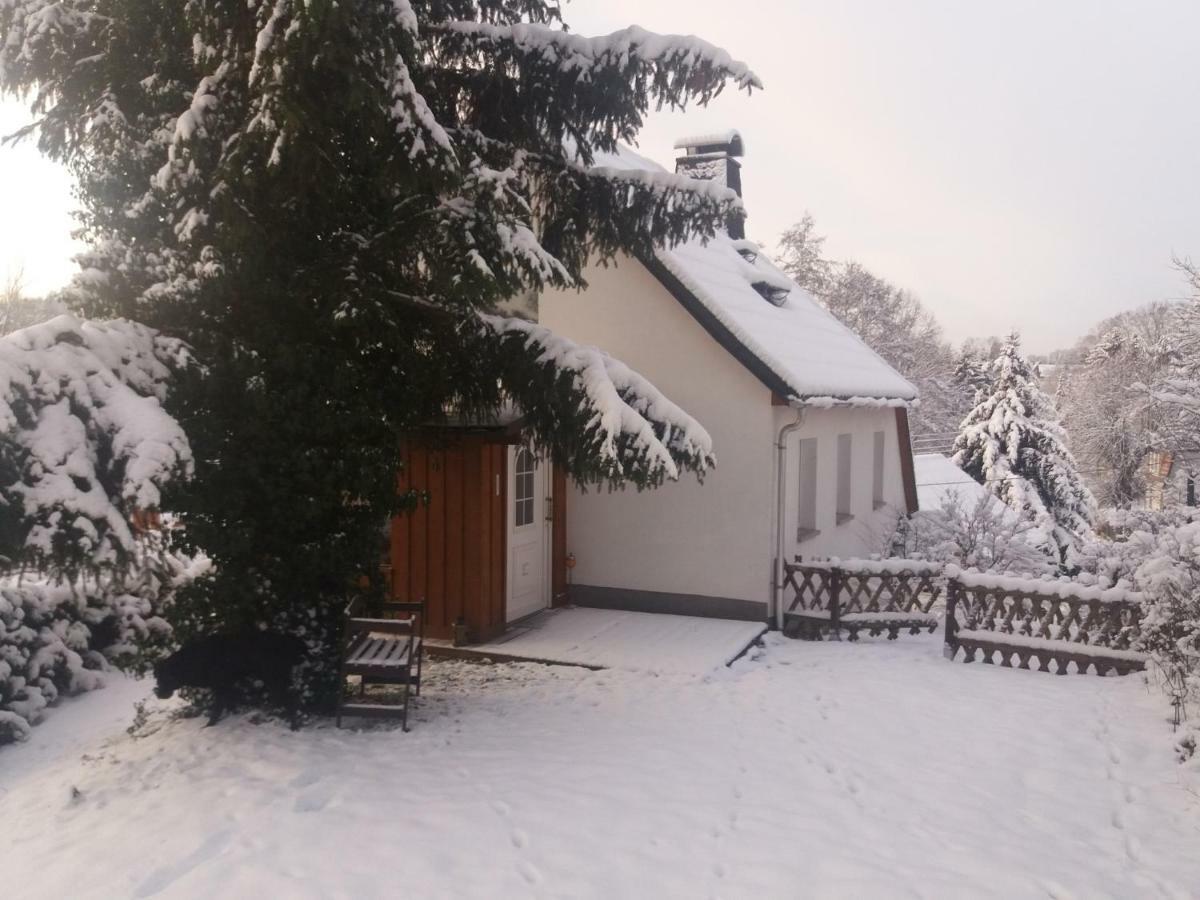 Villa Kirchberghaus mit Sauna Hainewalde Exterior foto